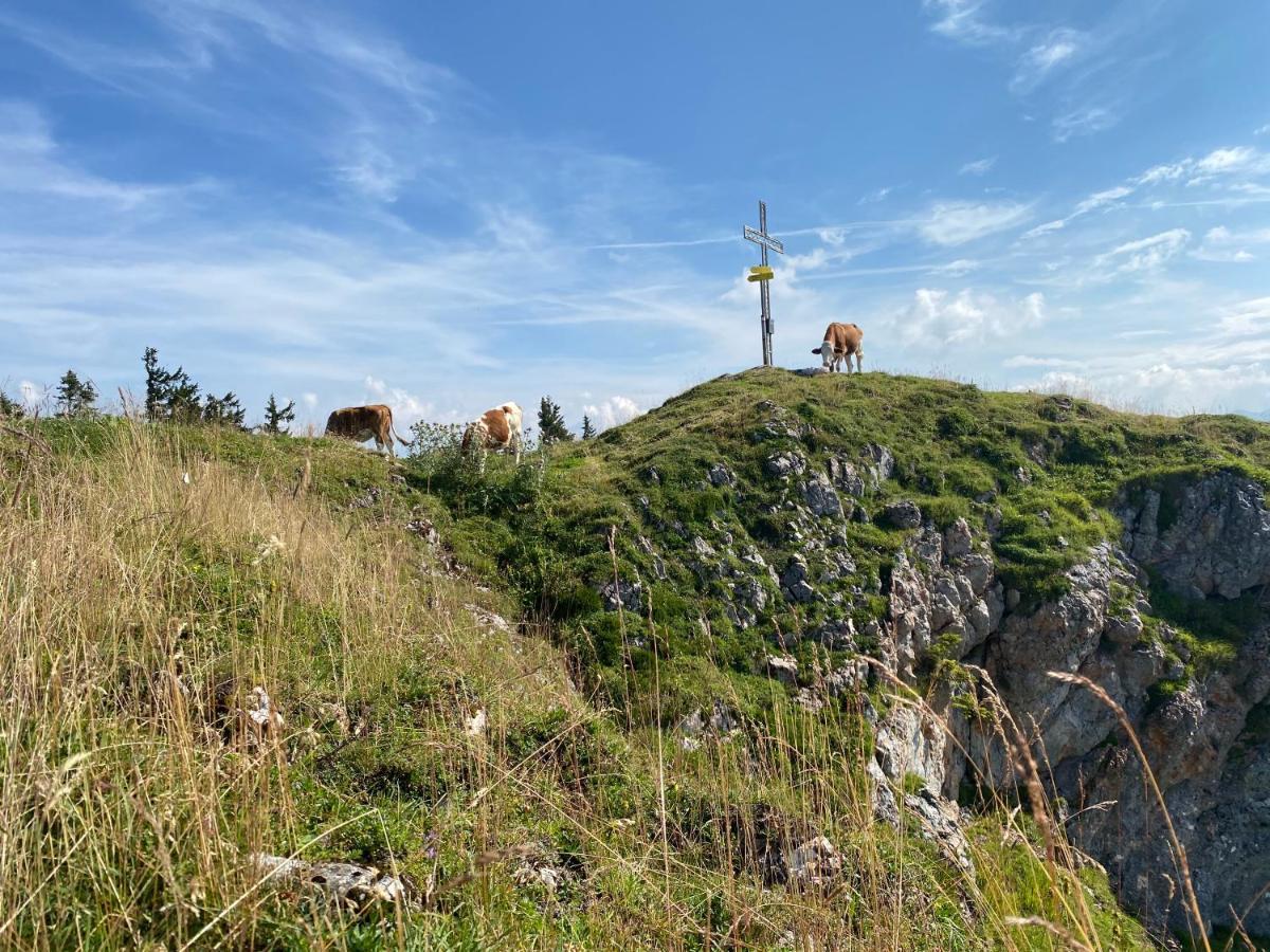 Obersdorfer Hof Guest House บัดมิทแทร์นดอร์ฟ ภายนอก รูปภาพ