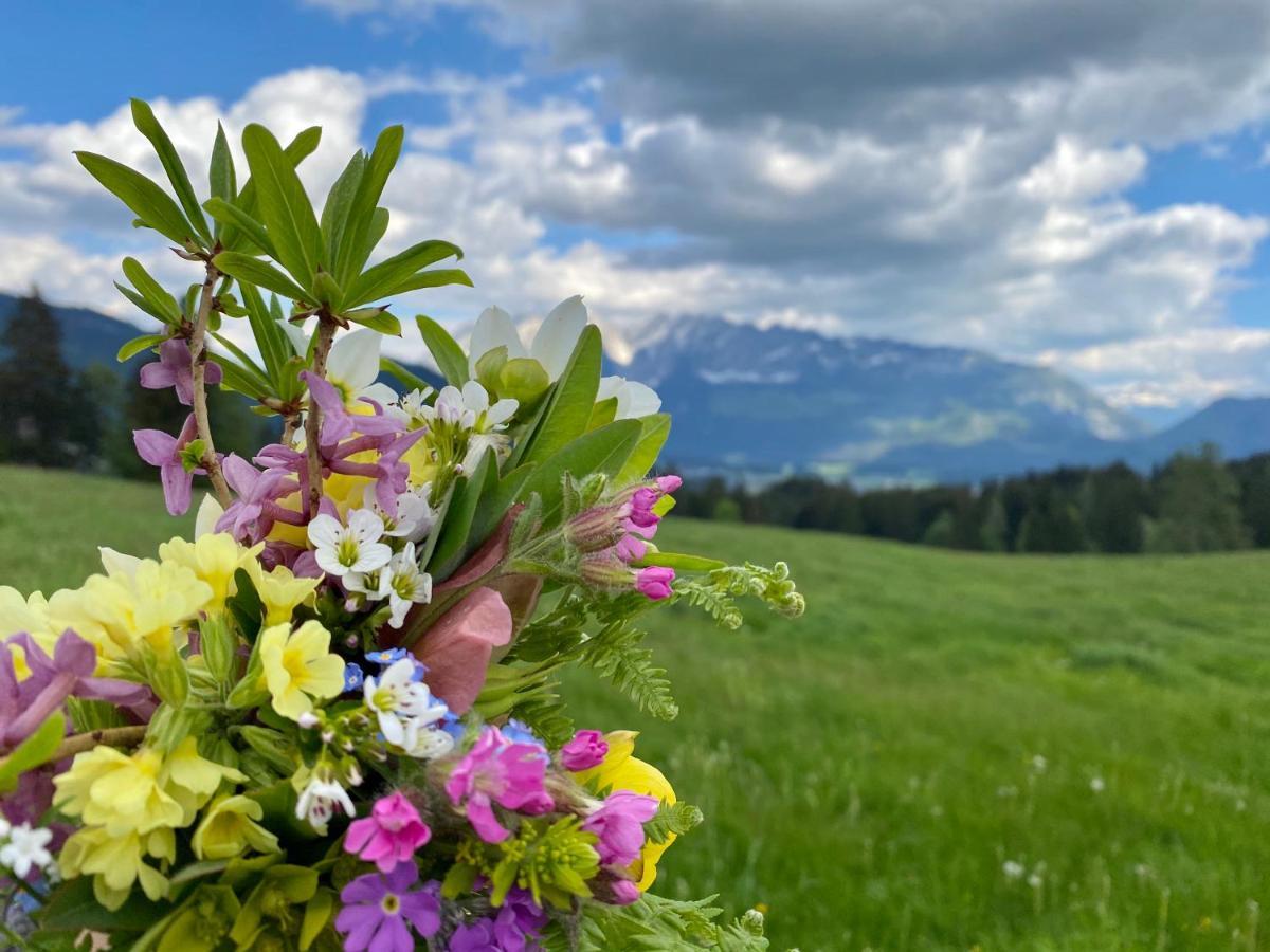 Obersdorfer Hof Guest House บัดมิทแทร์นดอร์ฟ ภายนอก รูปภาพ