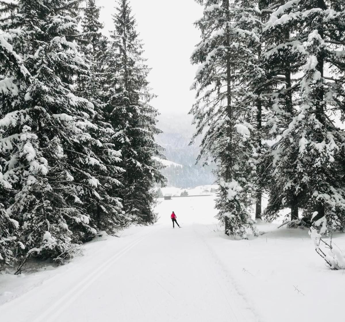 Obersdorfer Hof Guest House บัดมิทแทร์นดอร์ฟ ภายนอก รูปภาพ